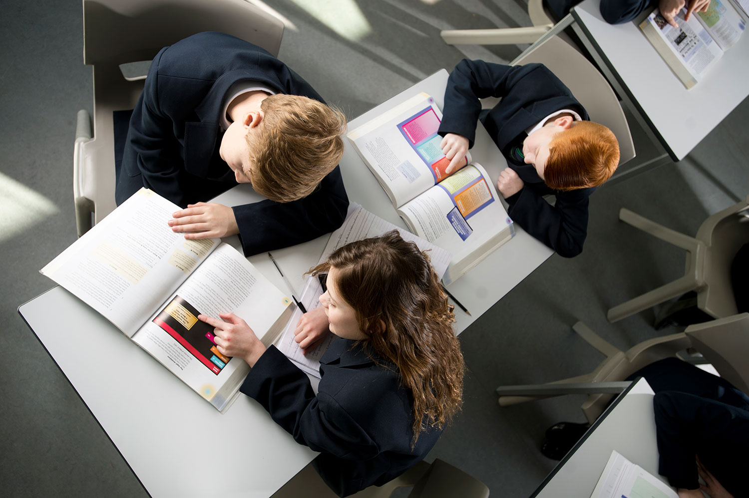 Assessment & Reporting