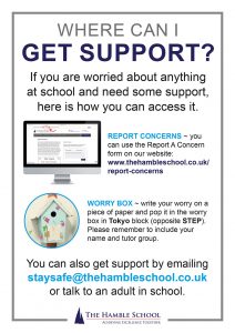 Where can I get support?