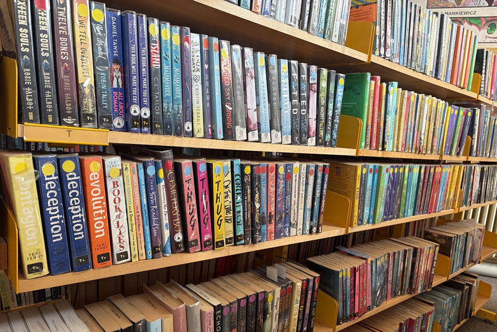 Reading Programme – Library